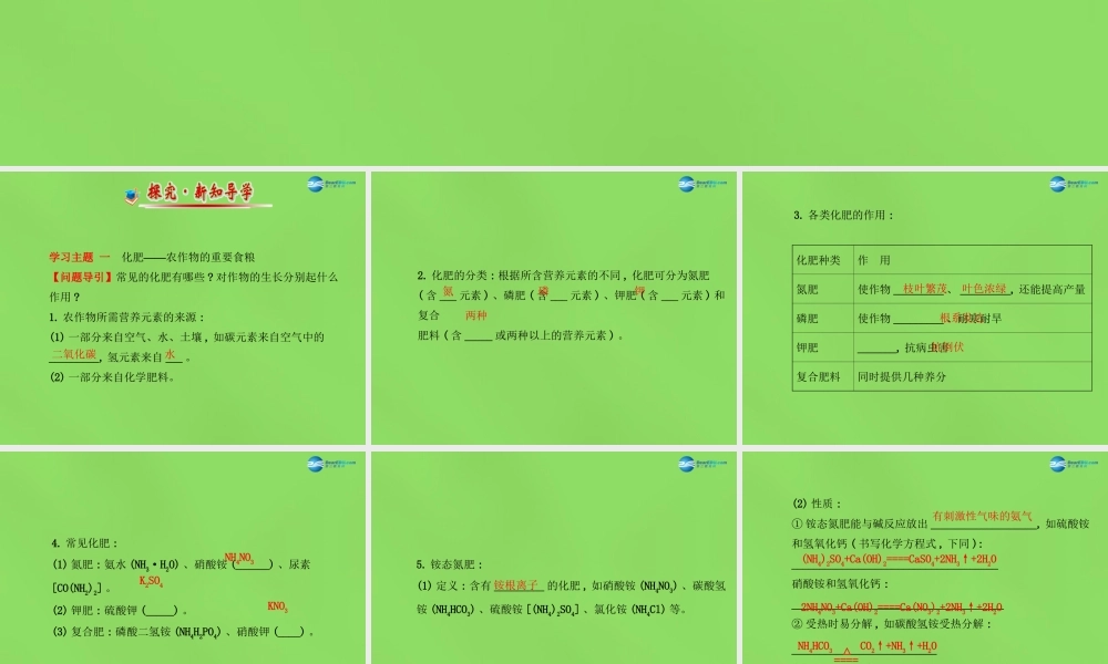 鲁教初中化学九下《11第3节 化学与农业生产》PPT课件 (2).ppt