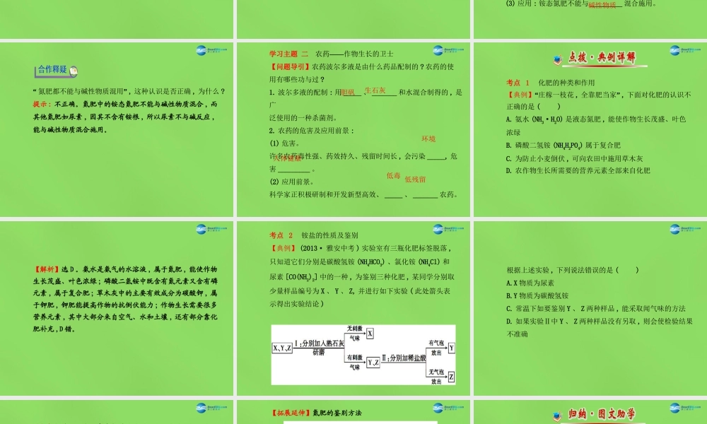 鲁教初中化学九下《11第3节 化学与农业生产》PPT课件 (2).ppt
