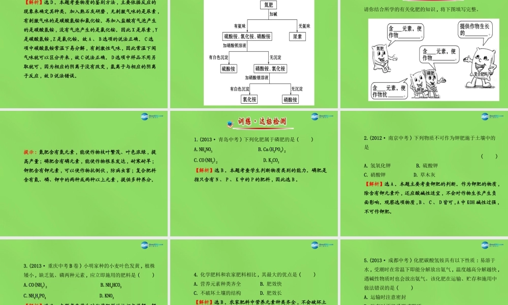 鲁教初中化学九下《11第3节 化学与农业生产》PPT课件 (2).ppt