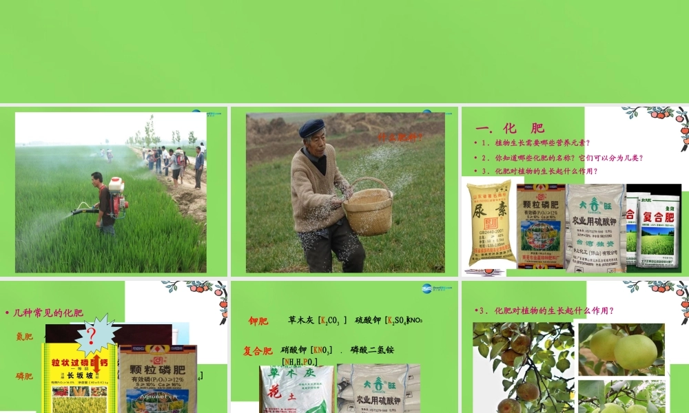 鲁教初中化学九下《11第3节 化学与农业生产》PPT课件 (3).ppt