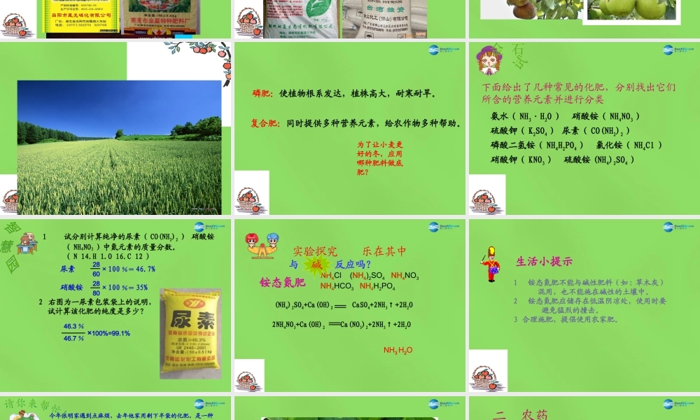 鲁教初中化学九下《11第3节 化学与农业生产》PPT课件 (3).ppt