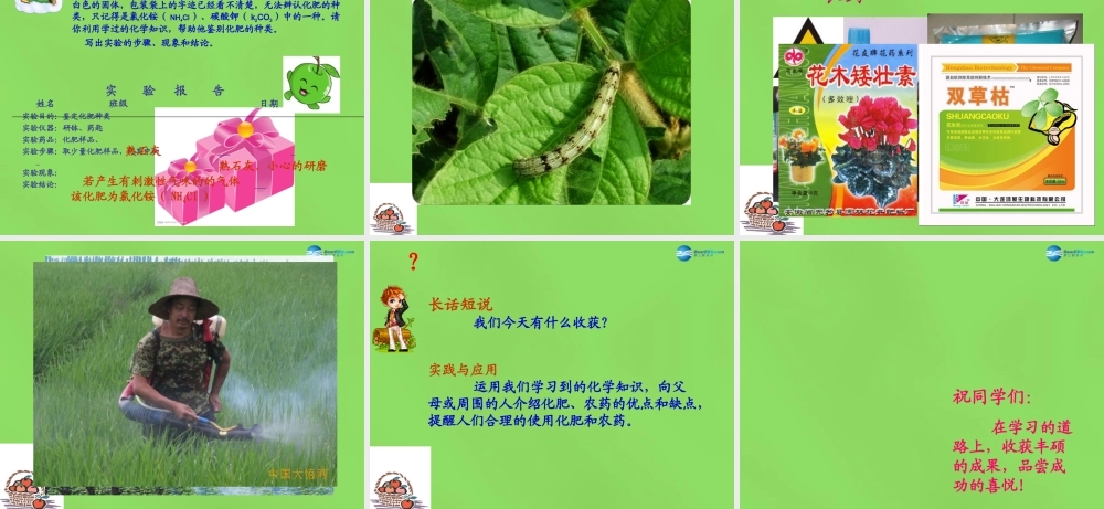 鲁教初中化学九下《11第3节 化学与农业生产》PPT课件 (3).ppt