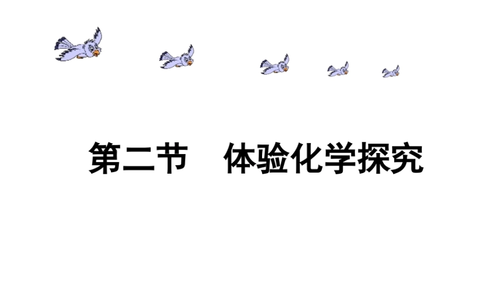 鲁教五四制初中化学八上《1第2节 体验化学探究》PPT课件.ppt