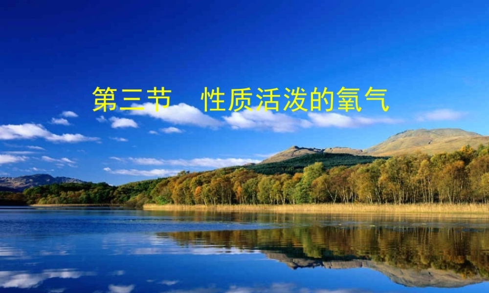鲁教五四制初中化学八下《4到实验室去：氧气的实验室制取与性质》PPT课件 (2).ppt