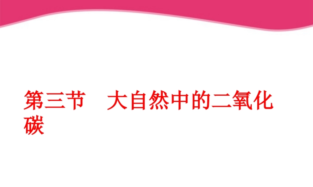 鲁教五四制初中化学八下《6第3节 大自然中的二氧化碳》PPT课件 (2).ppt