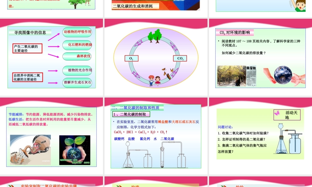 鲁教五四制初中化学八下《6第3节 大自然中的二氧化碳》PPT课件 (2).ppt