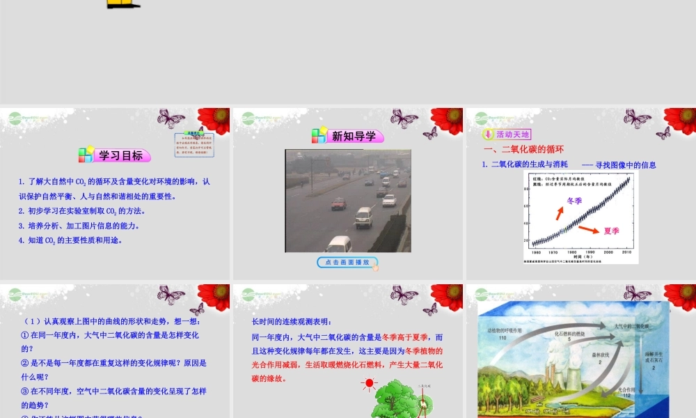 鲁教五四制初中化学八下《6第3节 大自然中的二氧化碳》PPT课件 (3).ppt