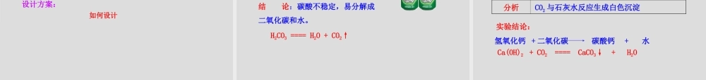 鲁教五四制初中化学八下《6第3节 大自然中的二氧化碳》PPT课件 (3).ppt