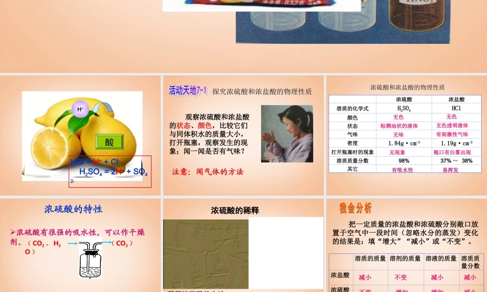 鲁教五四制初中化学九上《8.1 酸及其性质》PPT课件 (1).ppt