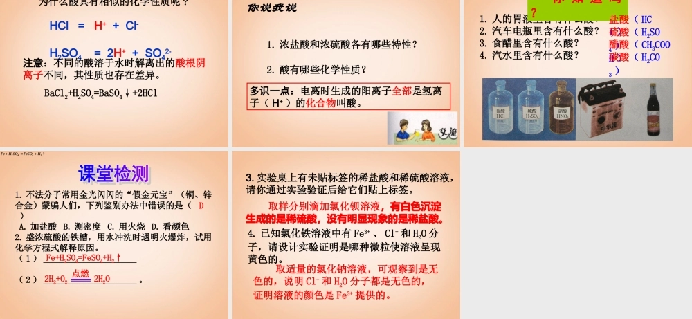 鲁教五四制初中化学九上《8.1 酸及其性质》PPT课件 (1).ppt