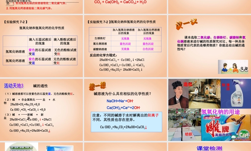 鲁教五四制初中化学九上《8.1 酸及其性质》PPT课件 (2).ppt