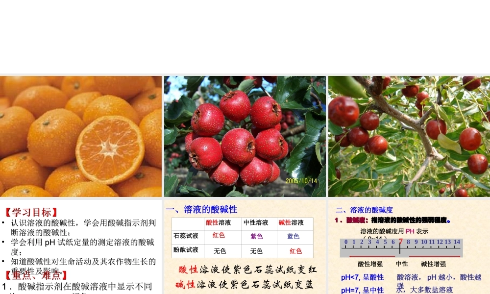 鲁教五四制初中化学九上《8.3 溶液的酸碱性》PPT课件.ppt