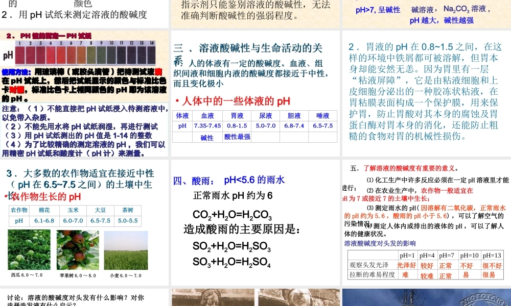 鲁教五四制初中化学九上《8.3 溶液的酸碱性》PPT课件.ppt