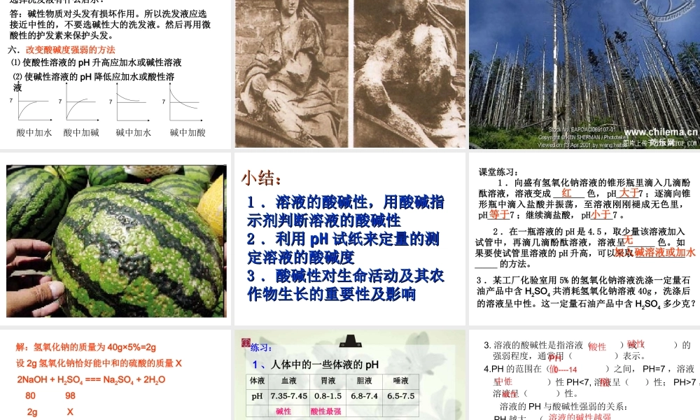 鲁教五四制初中化学九上《8.3 溶液的酸碱性》PPT课件.ppt