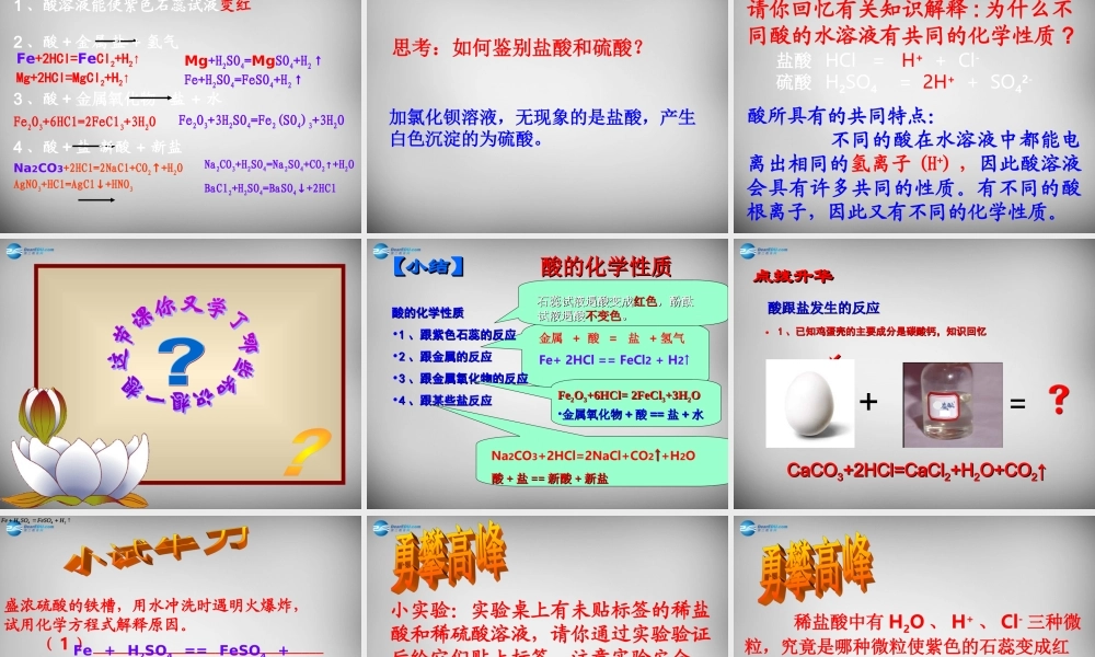 鲁教五四制初中化学九上《8.1 酸及其性质》PPT课件 (3).ppt