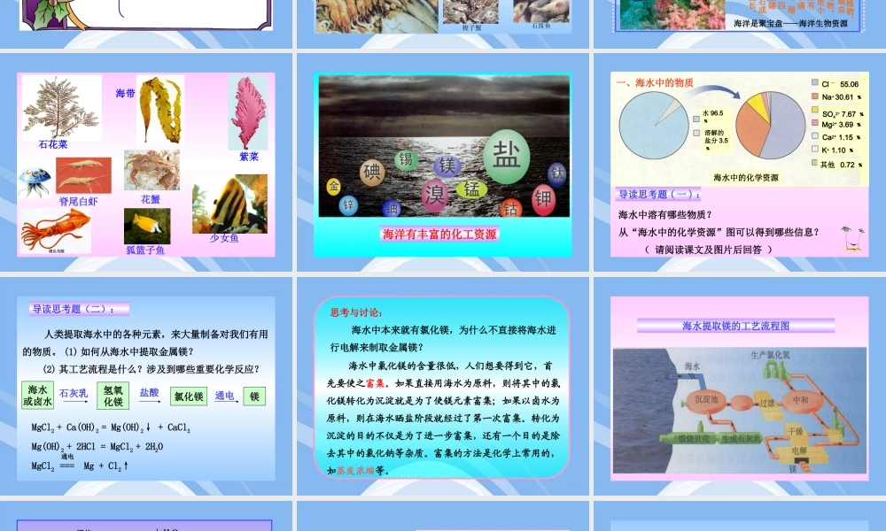 鲁教五四制初中化学九上《9.1 海洋化学资源》PPT课件 (1).ppt