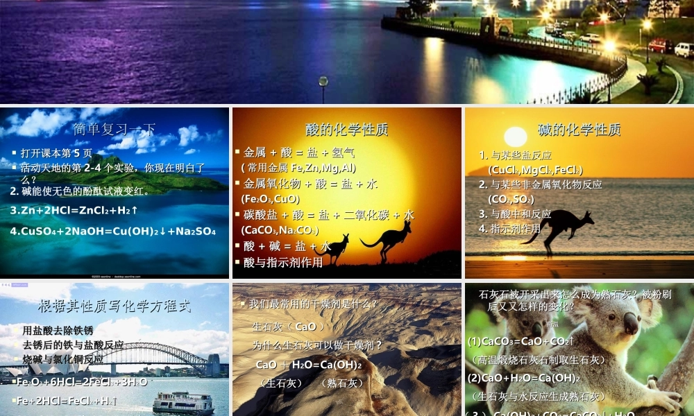 鲁教五四制初中化学九上《8.5到实验室去：探究酸和碱的化学性质》PPT课件.ppt