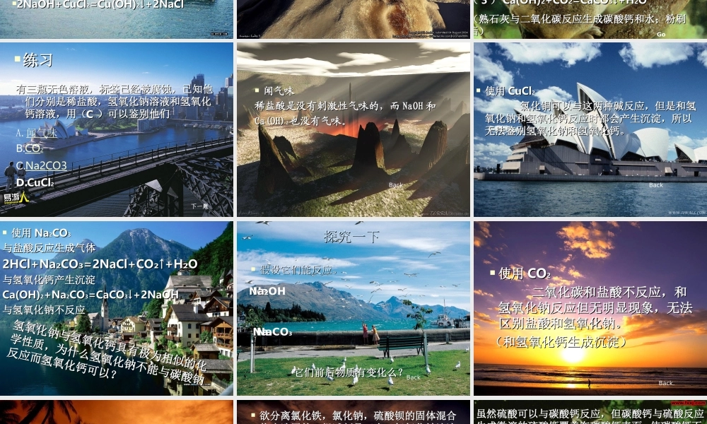 鲁教五四制初中化学九上《8.5到实验室去：探究酸和碱的化学性质》PPT课件.ppt