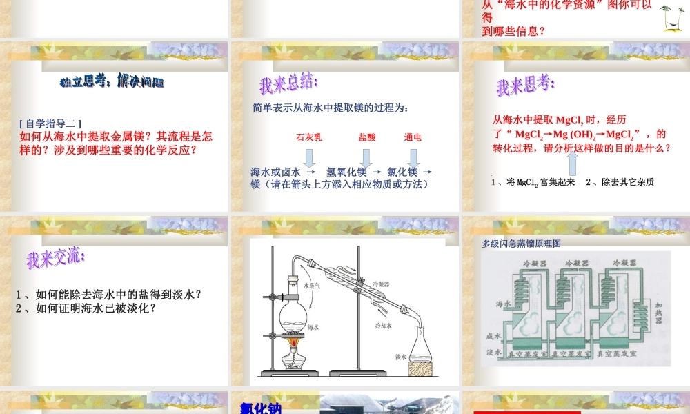 鲁教五四制初中化学九上《9.1 海洋化学资源》PPT课件 (2).ppt