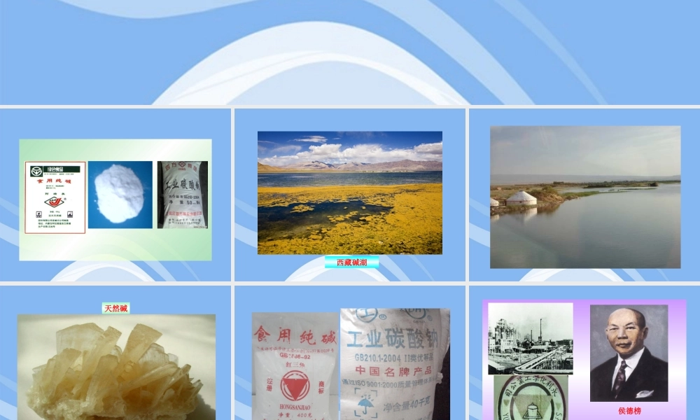 鲁教五四制初中化学九上《9.3 海水“制碱”》PPT课件 (1).ppt