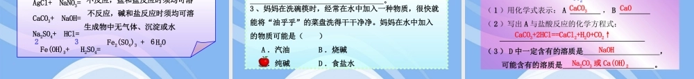 鲁教五四制初中化学九上《9.3 海水“制碱”》PPT课件 (1).ppt