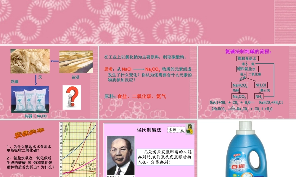 鲁教五四制初中化学九上《9.3 海水“制碱”》PPT课件 (2).ppt