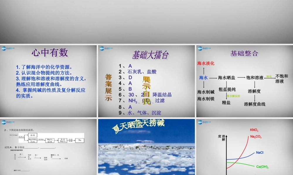 鲁教五四制初中化学九上《9第九单元 海水中的化学》PPT课件.ppt