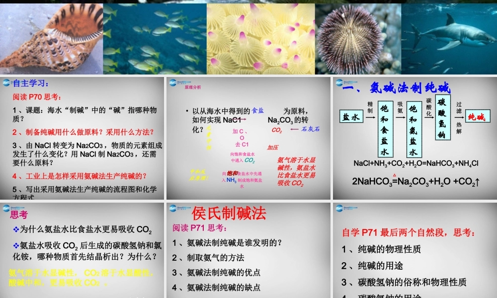 鲁教五四制初中化学九上《9.3 海水“制碱”》PPT课件 (4).ppt