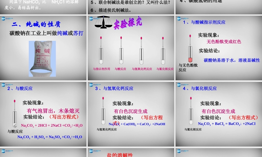 鲁教五四制初中化学九上《9.3 海水“制碱”》PPT课件 (4).ppt