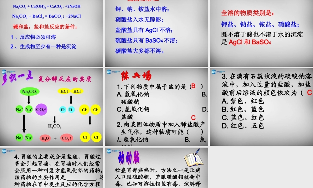 鲁教五四制初中化学九上《9.3 海水“制碱”》PPT课件 (4).ppt