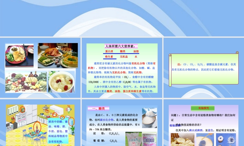 鲁教五四制初中化学九下《11.1 食物中的有机物》PPT课件 (3).ppt