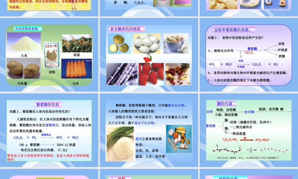 鲁教五四制初中化学九下《11.1 食物中的有机物》PPT课件 (3).ppt