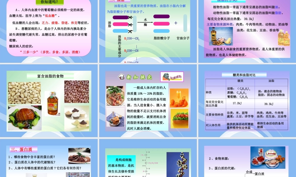 鲁教五四制初中化学九下《11.1 食物中的有机物》PPT课件 (3).ppt