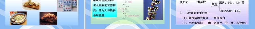 鲁教五四制初中化学九下《11.1 食物中的有机物》PPT课件 (3).ppt