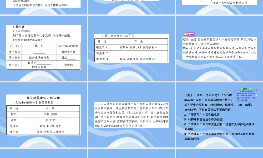 鲁教五四制初中化学九下《11.1 食物中的有机物》PPT课件 (1).ppt