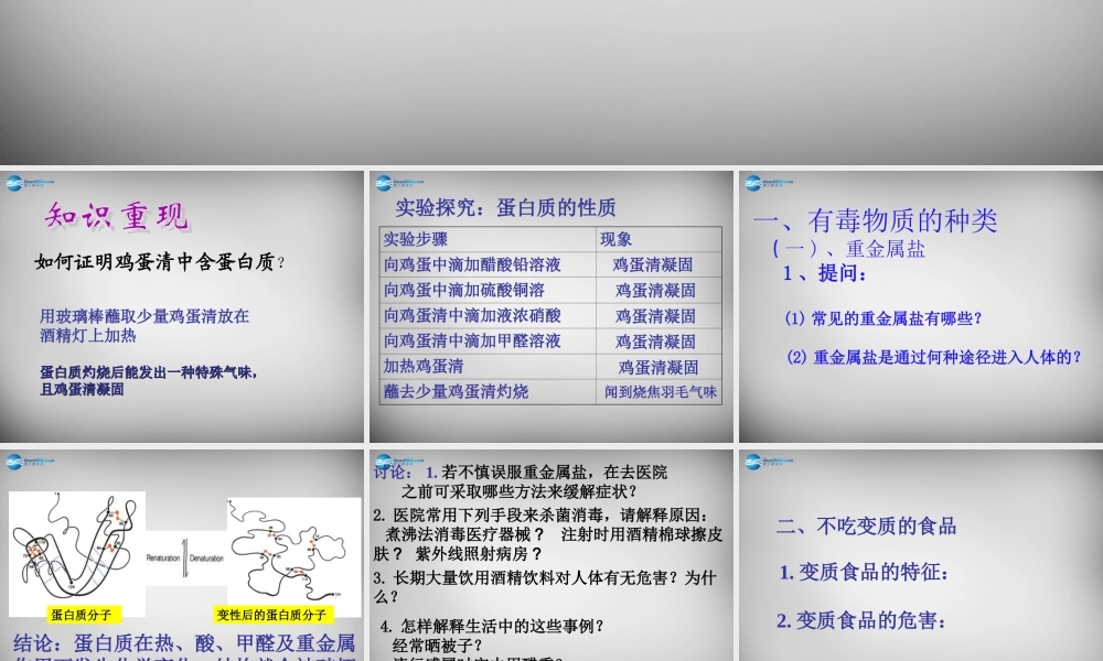 鲁教五四制初中化学九下《11.3 远离有毒物质》PPT课件 (2).ppt