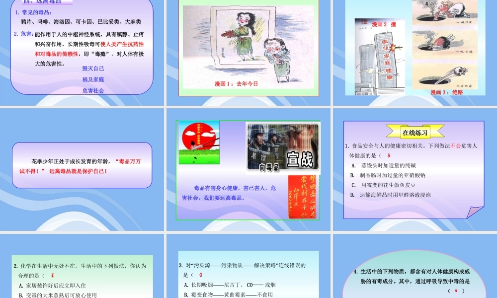 鲁教五四制初中化学九下《11.3 远离有毒物质》PPT课件 (1).ppt