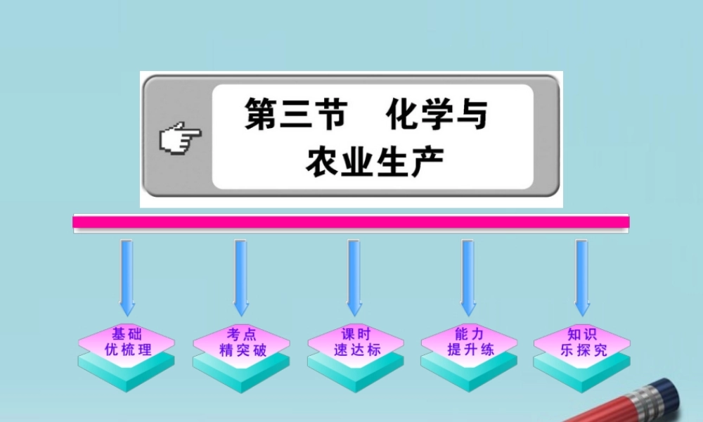 鲁教五四制初中化学九下《12.3 化学与农业生产》PPT课件 (1).ppt