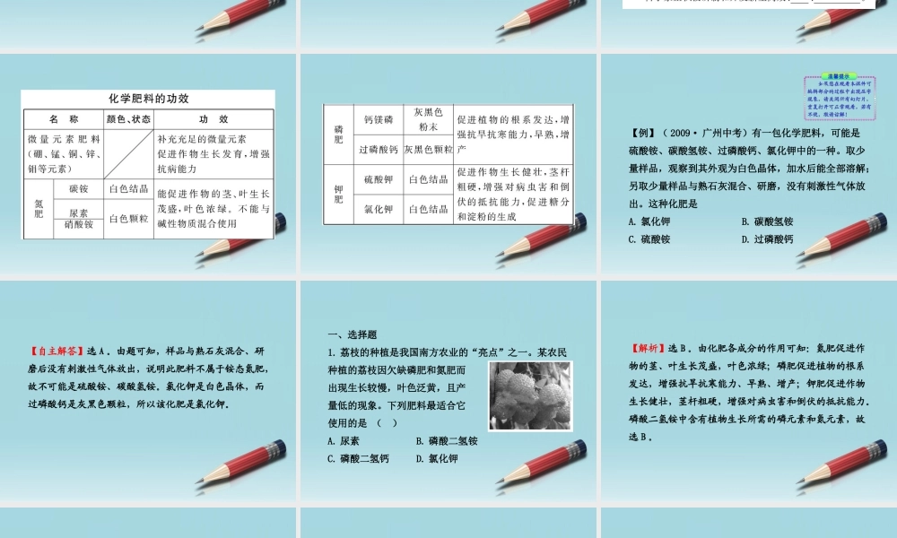 鲁教五四制初中化学九下《12.3 化学与农业生产》PPT课件 (1).ppt