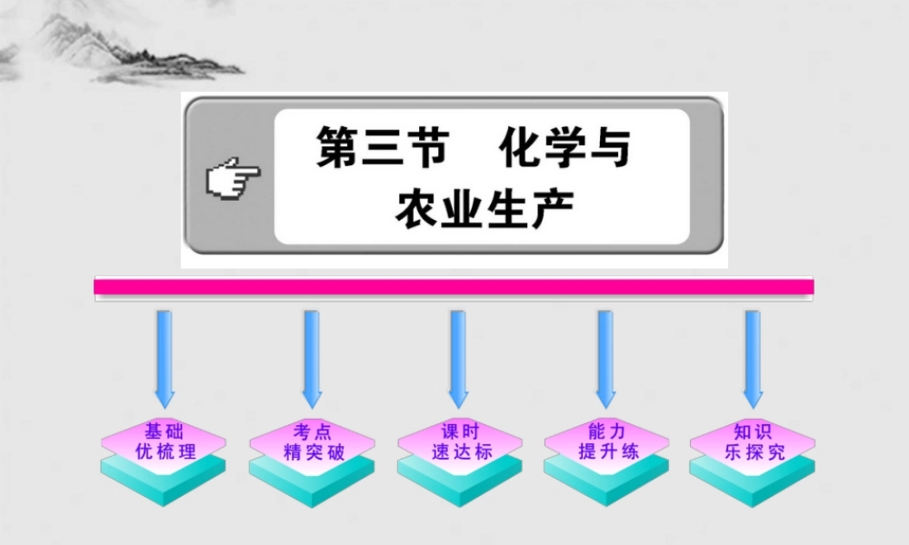 鲁教五四制初中化学九下《12.3 化学与农业生产》PPT课件 (2).ppt