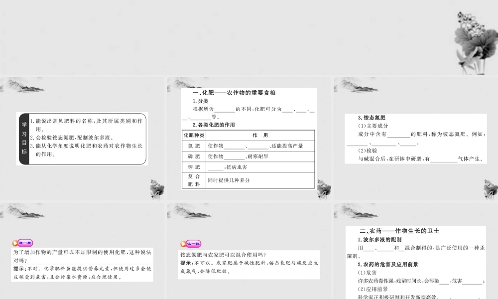 鲁教五四制初中化学九下《12.3 化学与农业生产》PPT课件 (2).ppt