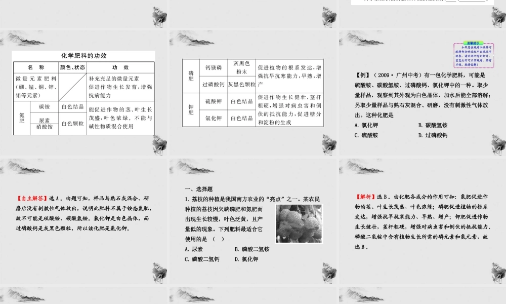 鲁教五四制初中化学九下《12.3 化学与农业生产》PPT课件 (2).ppt