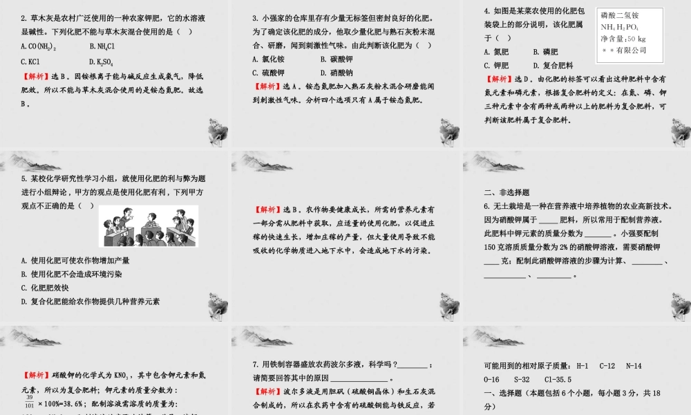 鲁教五四制初中化学九下《12.3 化学与农业生产》PPT课件 (2).ppt