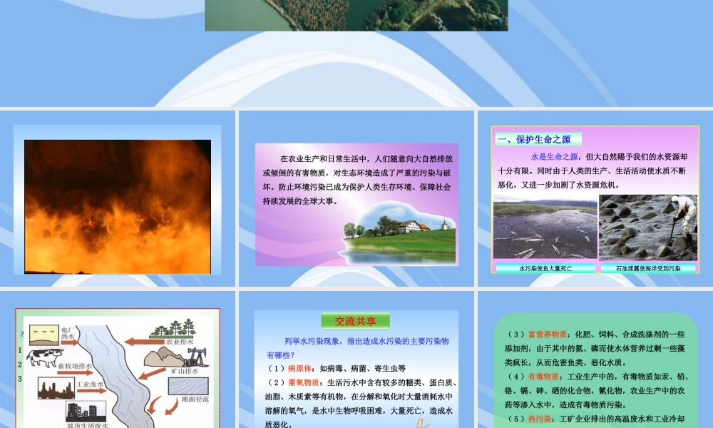 鲁教五四制初中化学九下《12.4 化学与环境保护》PPT课件.ppt