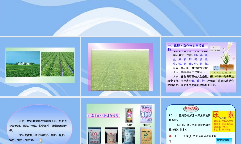 鲁教五四制初中化学九下《12.3 化学与农业生产》PPT课件 (3).ppt