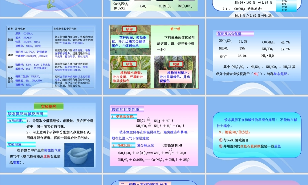 鲁教五四制初中化学九下《12.3 化学与农业生产》PPT课件 (3).ppt