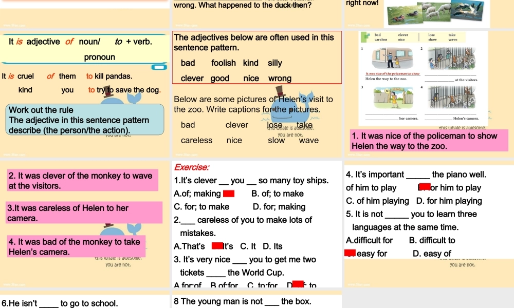 牛津深圳版八年级英语下册《Unit 5 Save the endangered animals》课件：Grammar.ppt