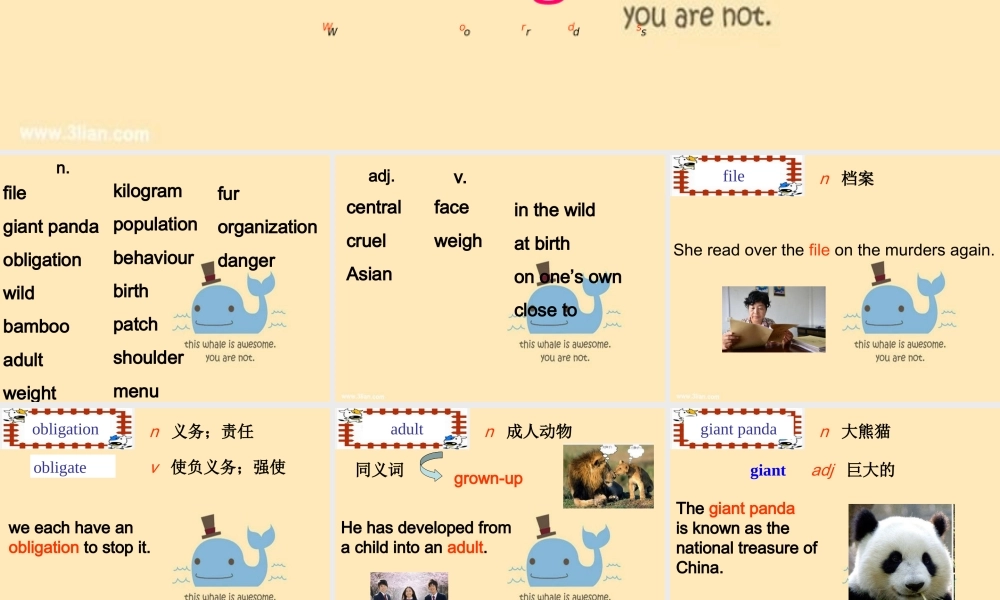 牛津深圳版八年级英语下册《Unit 5 Save the endangered animals》课件：words.ppt