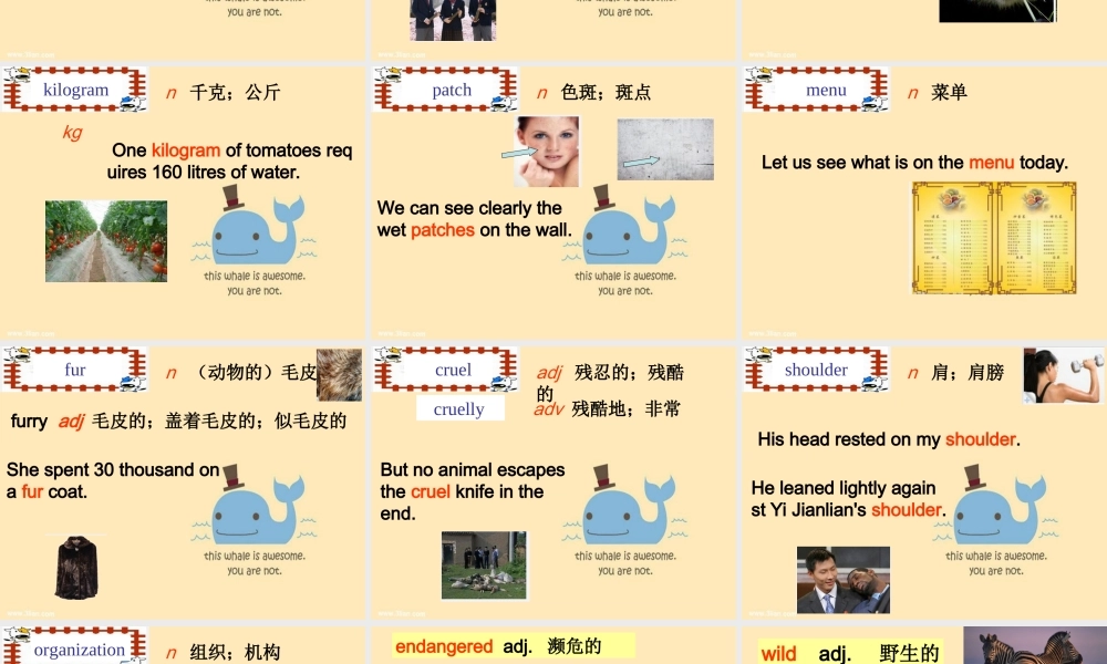 牛津深圳版八年级英语下册《Unit 5 Save the endangered animals》课件：words.ppt