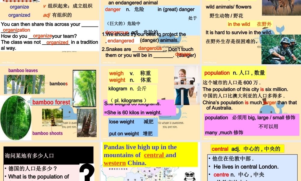 牛津深圳版八年级英语下册《Unit 5 Save the endangered animals》课件：words.ppt